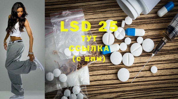 индика Абинск
