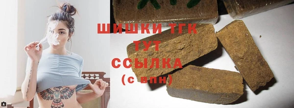 индика Абинск