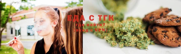 индика Абинск
