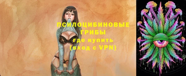 спиды Абаза