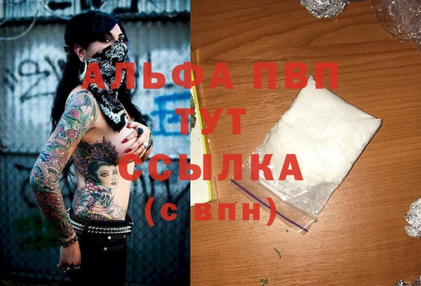 спиды Абаза