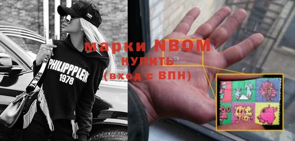 индика Абинск