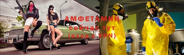 индика Абинск
