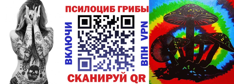 где продают   Великий Новгород  Галлюциногенные грибы прущие грибы 
