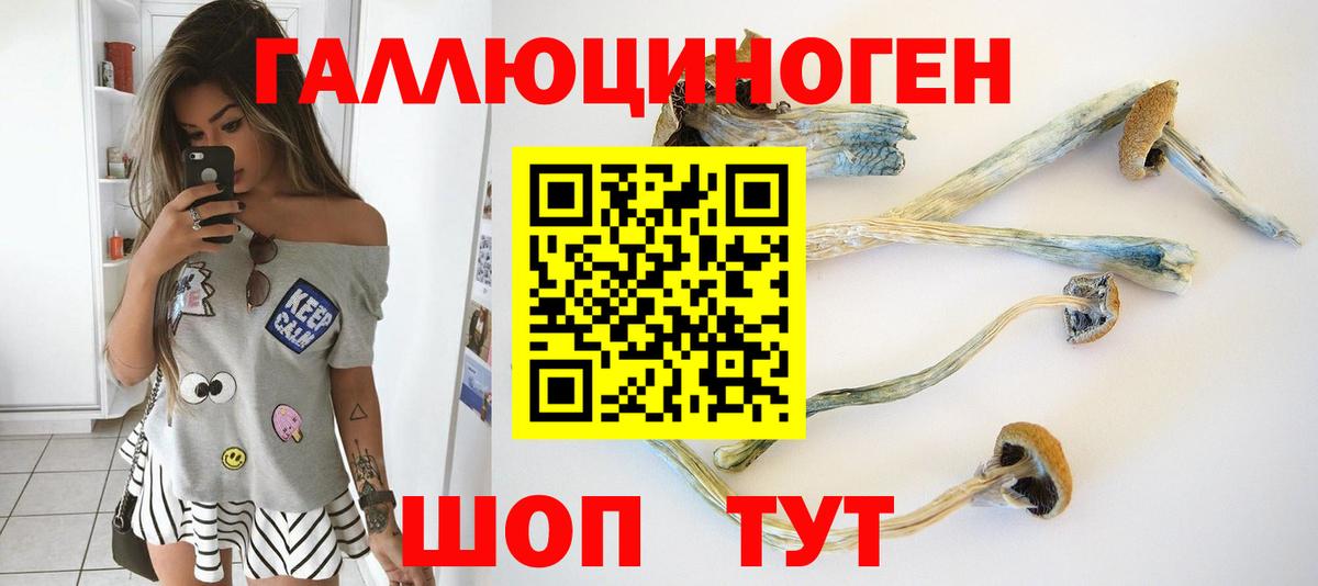 Псилоцибиновые грибы прущие грибы Великий Новгород